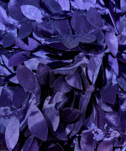 Eggplant Leaf